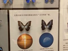 -天津自然博物馆