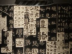 -张翻越·川渝冒菜·武汉黑鸭煲(城北万象城店)