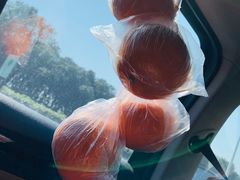 -金海湾海鲜排档(朱家尖店)