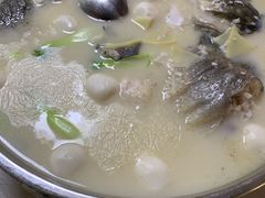 -丁老爷子苏香圆