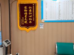 -米苏动物医院·犬猫专科·骨科外科内窥镜