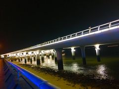 -演武大桥观景平台