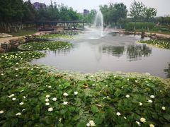 -前关湿地公园