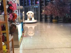 -博多一幸舍(侨福芳草地购物中心店)