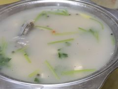 -煲来饱去冷水鱼