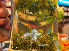 -渡海小渔村.老辈日照菜