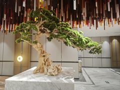 -青水瓦台汤泉(未央店)