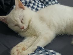 -双龙商场(环城南路店)