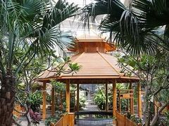 -陆地游轮吉林神农温泉