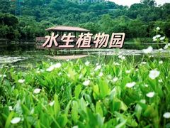 -顺峰山公园