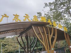 -天鹿湖森林公园
