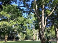 -中国科学院西双版纳热带植物园