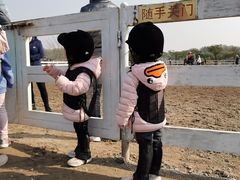 -月河湾马术俱乐部(朝阳店)