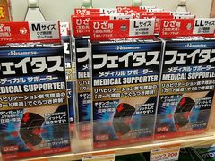 -台场海滨公园船码头