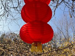 -白马涧龙池景区