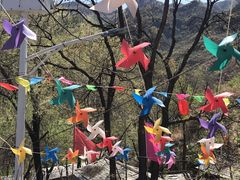 -南窖乡水峪村山情农家