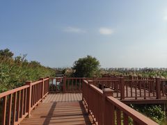 -芒洲湿地公园