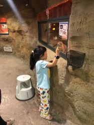 -酷嗒动物文化乐园(cutezoo西溪乐天城店)