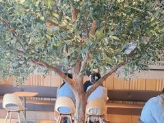 -Wagas沃歌斯(信泰中心商场店)