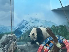 -武汉动物园