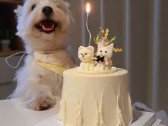 -你好独角兽·蛋糕甜品