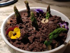 会长大的沙拉-绿茶餐厅(昌平悦荟店)