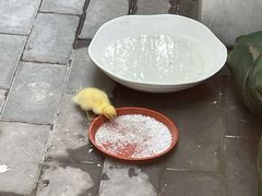 -潇湘·永州会馆(百子湾店)