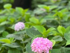 -陶然亭公园