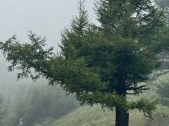 -驼梁风景区