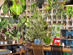 -自由生长植物工作室(深港花卉中心店)