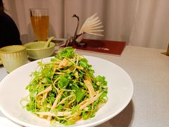 鲜腐竹拌三叶香-悦融·京鲁菜·露台花园(安定门店)