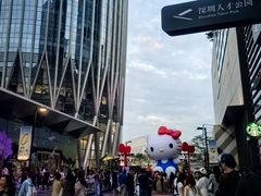 -深圳湾万象城(南山店)