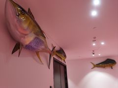 -深海中餐厅(国家海洋博物馆店)