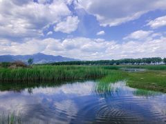 -野鸭湖国家湿地公园