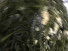 -百事晟渔村木火铁锅炖(玉带湾店)