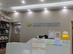 -瑞鹏宠物医院·骨外科·心肾科·肿瘤科(九亭店)