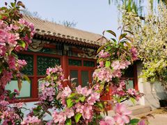 -海棠花溪(元大都城垣遗址公园)