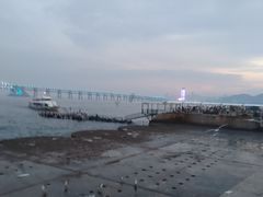 -星海广场