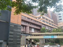 -香港大学