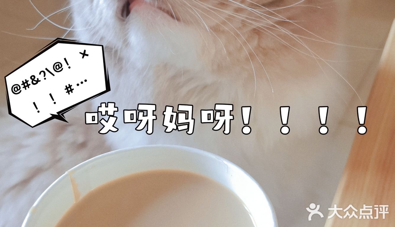 🤔日常吓猫 | 瑞幸咖啡[礼花]