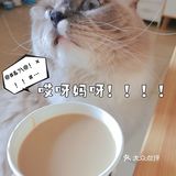 🤔日常吓猫 | 瑞幸咖啡[礼花]
