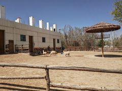 -青藏高原野生动物园