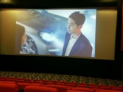 -武汉华夏国际影城(鲁广店)