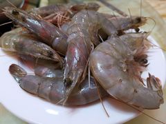 -春华海鲜城(广场西苑店)