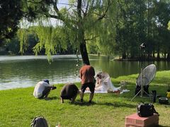 -上海共青森林公园