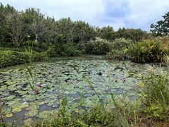 -上海交通大学(闵行校区)