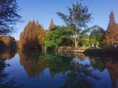 -桤木河湿地公园