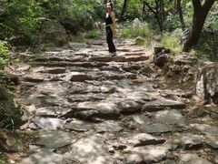 -阳台山自然风景区