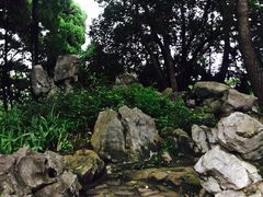 -叶家花园
