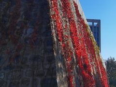 -滨河世纪广场公园